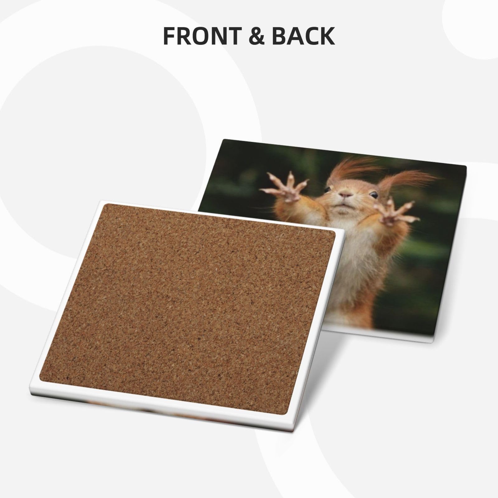 Set di 4 sottobicchieri in ceramica con stampa di scoiattolo divertente con animali