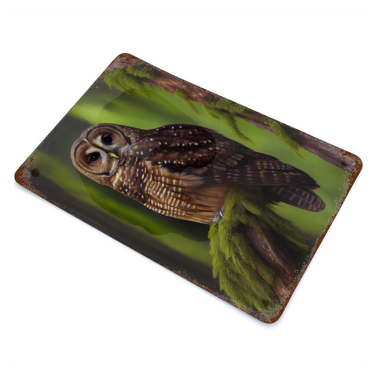 Northern Spotted Owl Rust Effect Tin Sign 11.8"x7.9", Farmhouse Wall Decor for Farmhouse, Kitchen And Entryway Decor