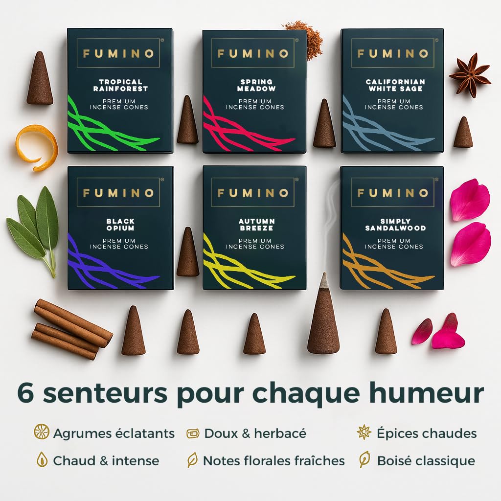 Fumino Encens Cone Naturels Faits Maison Lot 6 boîtes 90 cônes Masala Agarbatti Joss