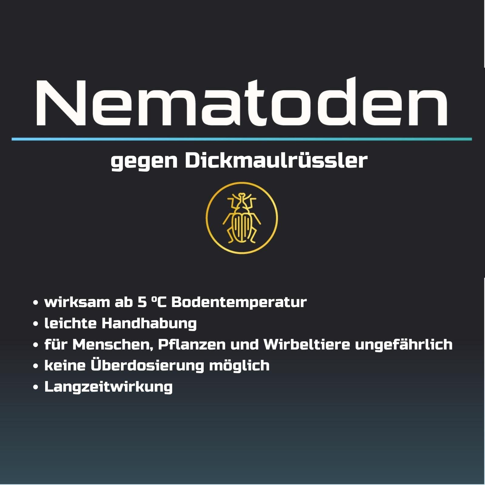 HB Nematoden 50 Mio für 100 m² Biologische Schädlingsbekämpfung gegen Dickmaulrüssler, Gartenlaubkäfer & Junikäfer