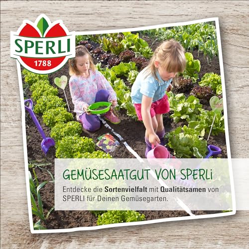 81134 Sperli Premium Kohlrabi Samen Delikateß Weißer | Aromatisch Zart | Langes Erntefenster | Kohlrabi Saatgut