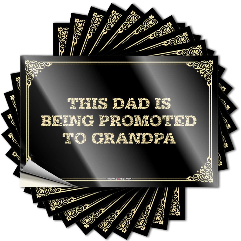 Vintage Kitchen Accessories, Bumper Double Bottle This Dad is Being Promoted to Grandpa | Mini Waterproof Vinyl Stickers(8X12CM)