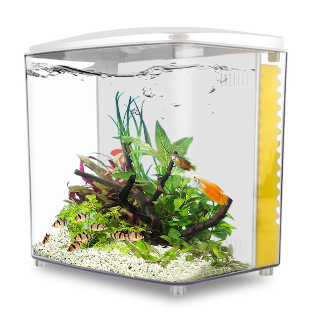 Buy 1.4 Gallon Betta Aquarium Starter Kits, Fish Tank with LED Light