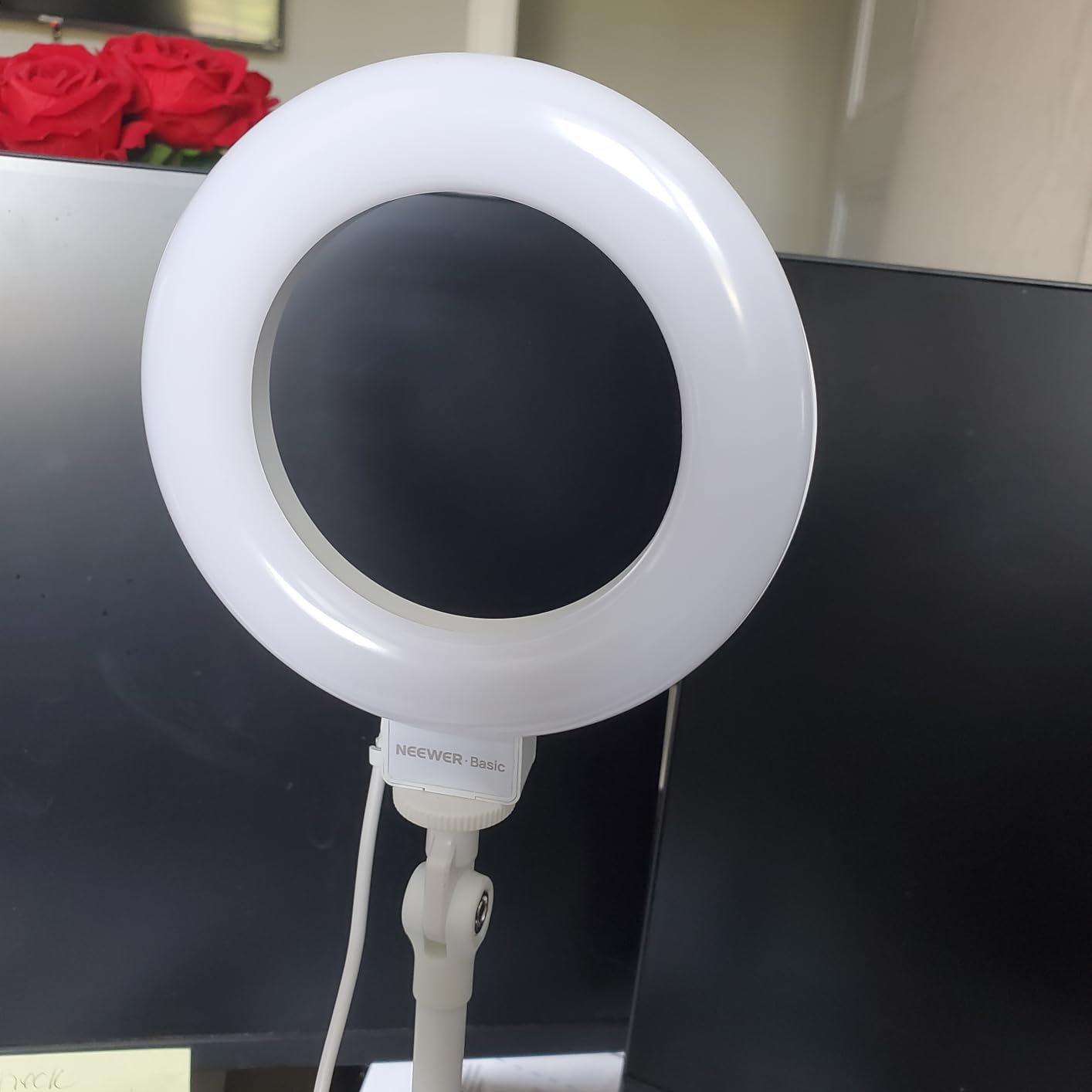 NEEWER BASICS BR60 5