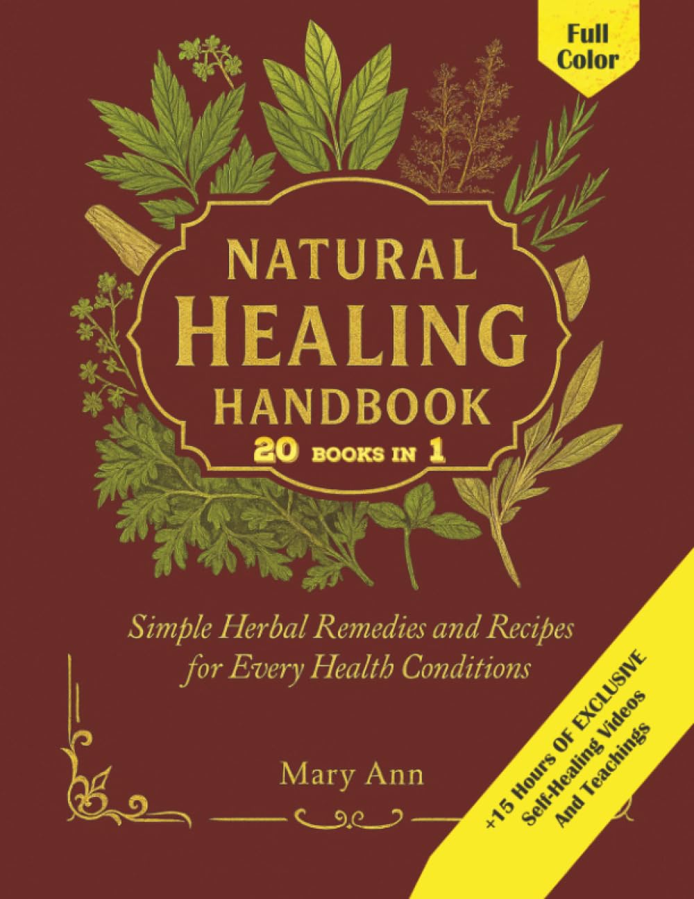 Cover image of Natural Healing Handbook by Mary Ann