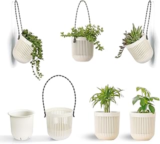 Melphoe 3.5‘’ Two-Piece Succulent Planters Pots with Drainage, Flexible Removable Handle, Planting Pots Flower Pots Small Planter Pots for Mini Plants Hanging Planter on Wall or Window 6 PCAK-White