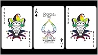 Vista 2 de Bicycle Spectrum Juego de cartas
