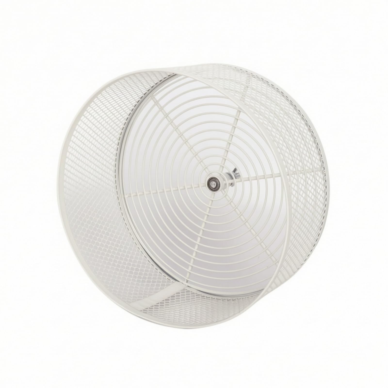 Roue pour Hamster Silencieux Accessoire, Blanc, 25 Cm