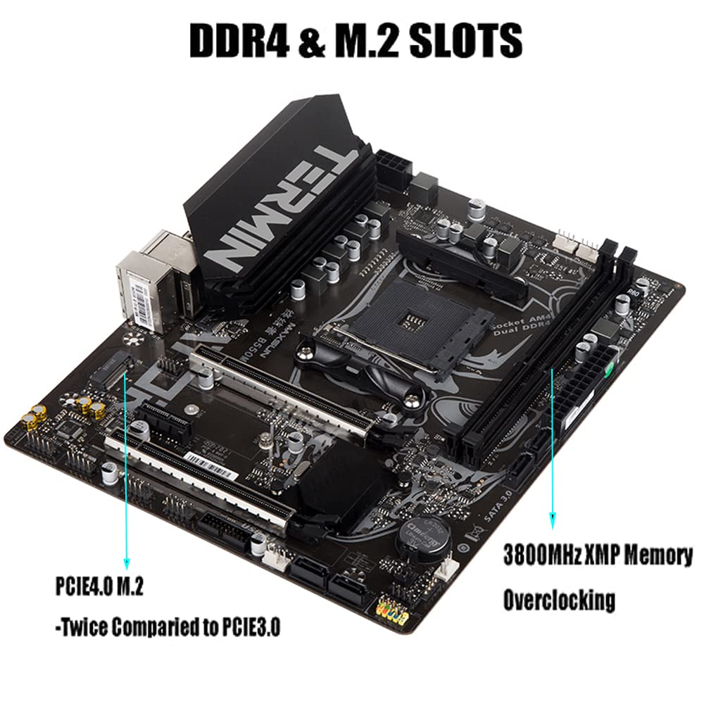 Amazon.co.jp: MAXSUN マザーボード B550 ターミネーター