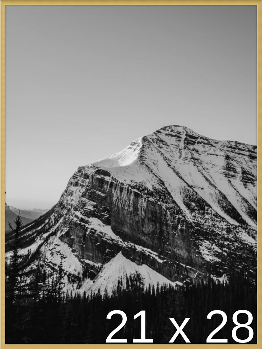 Frame It Easy 21 x 28 Gloss Gold Metal Frame (Ashford)