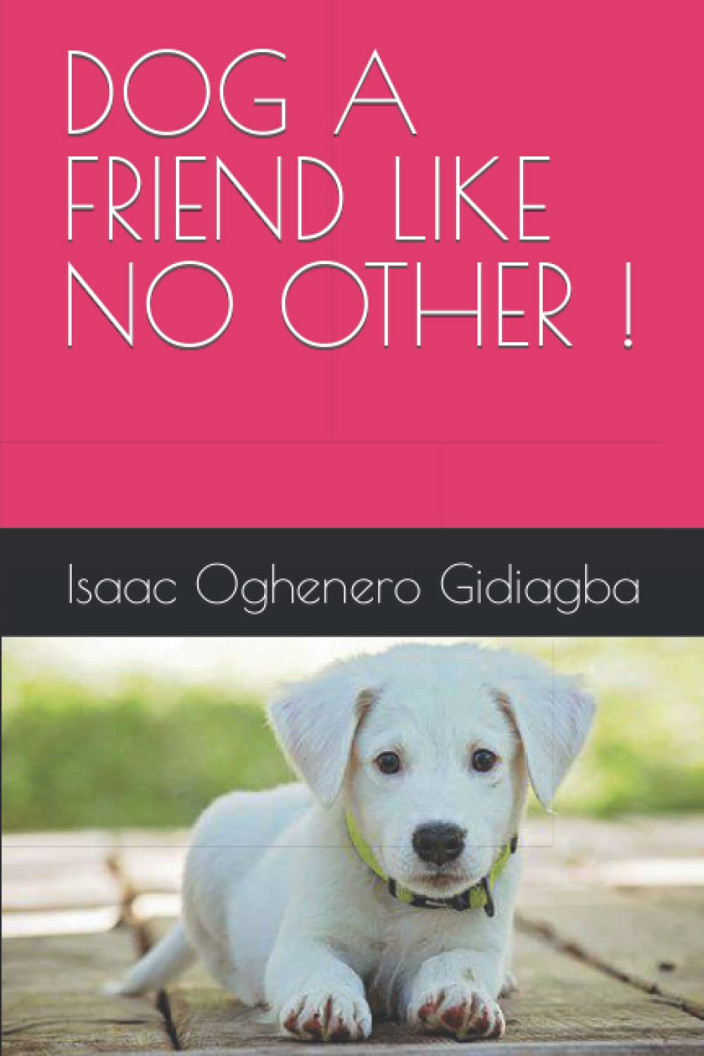 DOG A FRIEND LIKE NO OTHER !