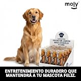 Ver la foto 5