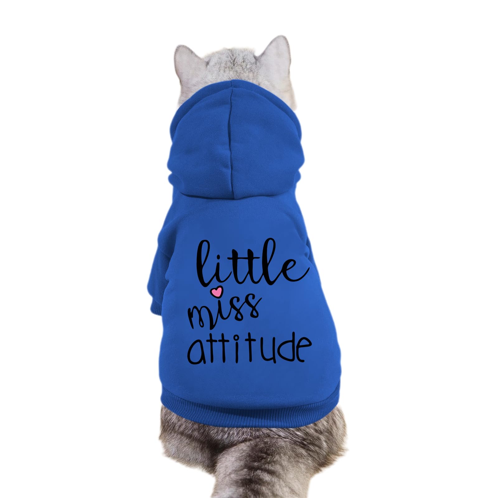 Cayxatiu Cat Hoodies for Cats Puppy Pet Clothes Cat Apparel Little Miss Attitude Print Dog Hoodie for Small Medium Dogs Outfits for Kittens(Royal Blue,2XL)