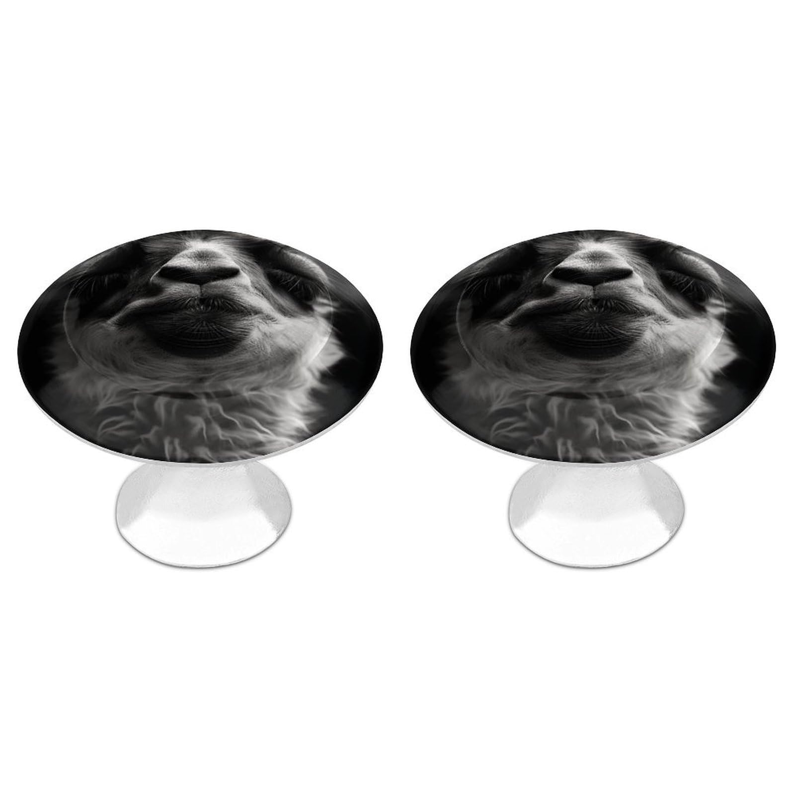 Btcowzrv Style A Little Camel 2 Pack Cabinet Knobs Drawer Pulls
