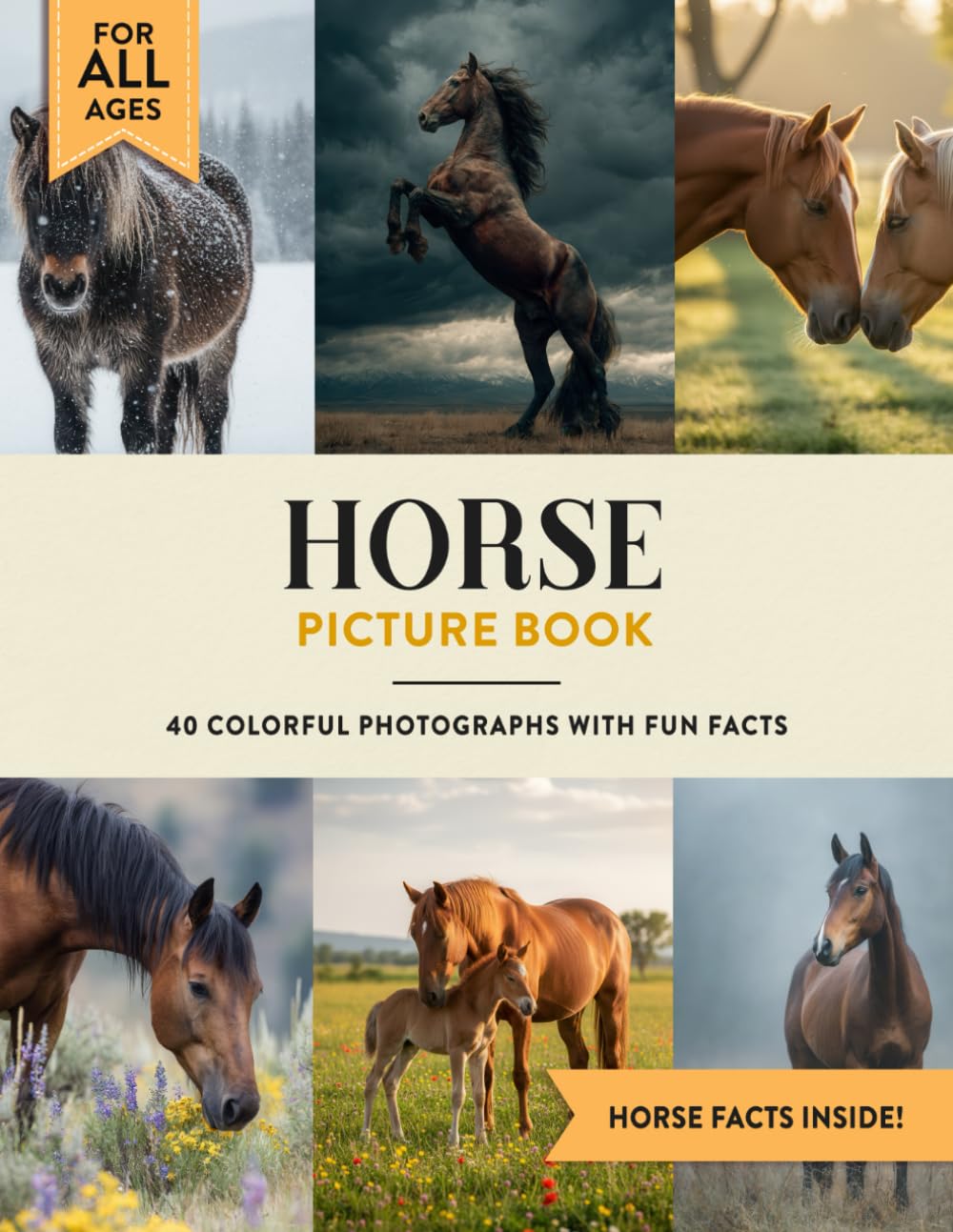 Horse Picture Book: Learn All About Horses with Fun Photos and Horse Facts for Kids & Adults