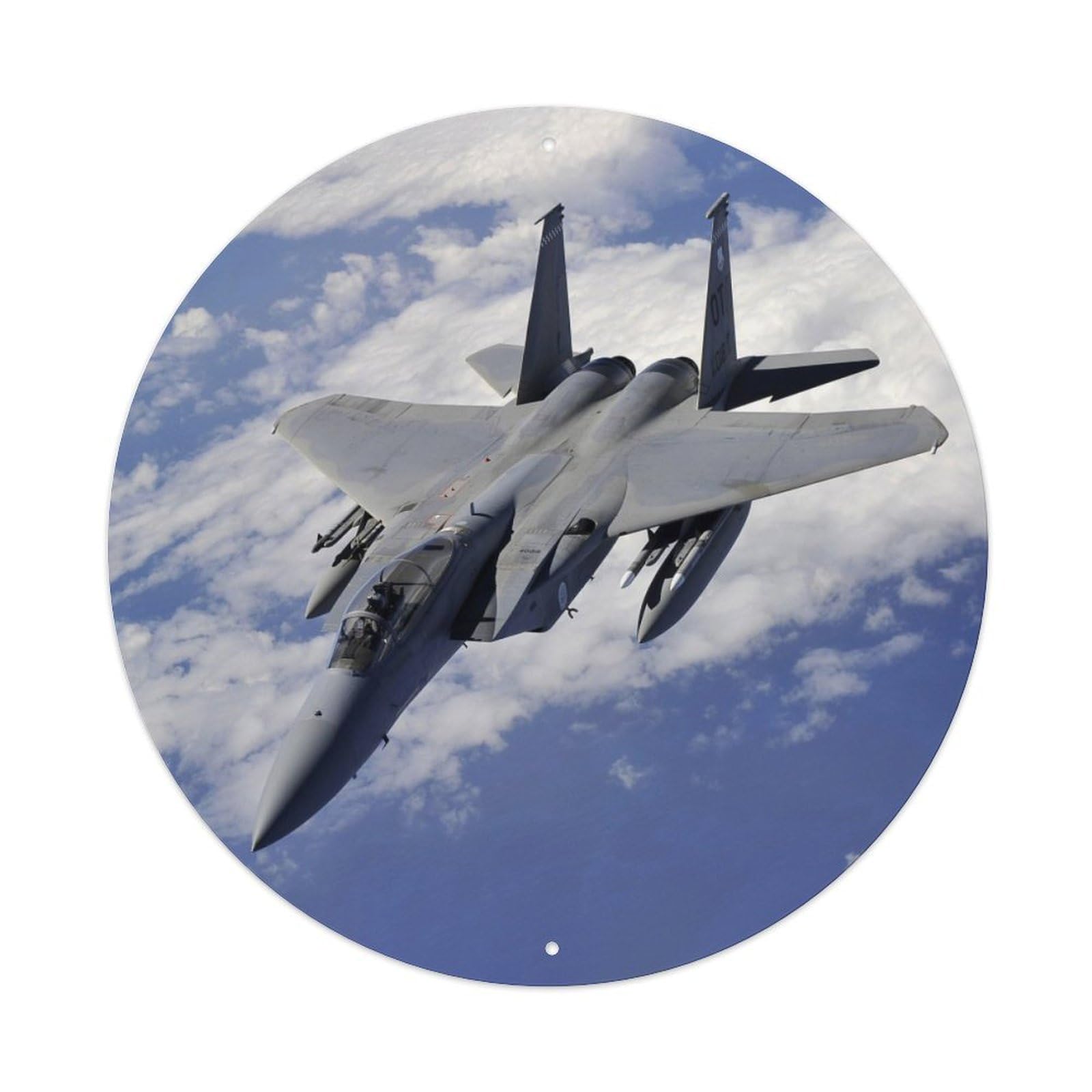 Olyhtr 8X8inch Classic Style F-15 Eagle Fighter Jet Military Aviation Metal Tin Sign