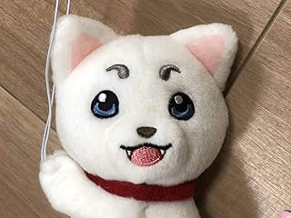 印刷 銀魂 キャラ 犬 銀魂 キャラ 犬 アニメ画像 アイコン 違法