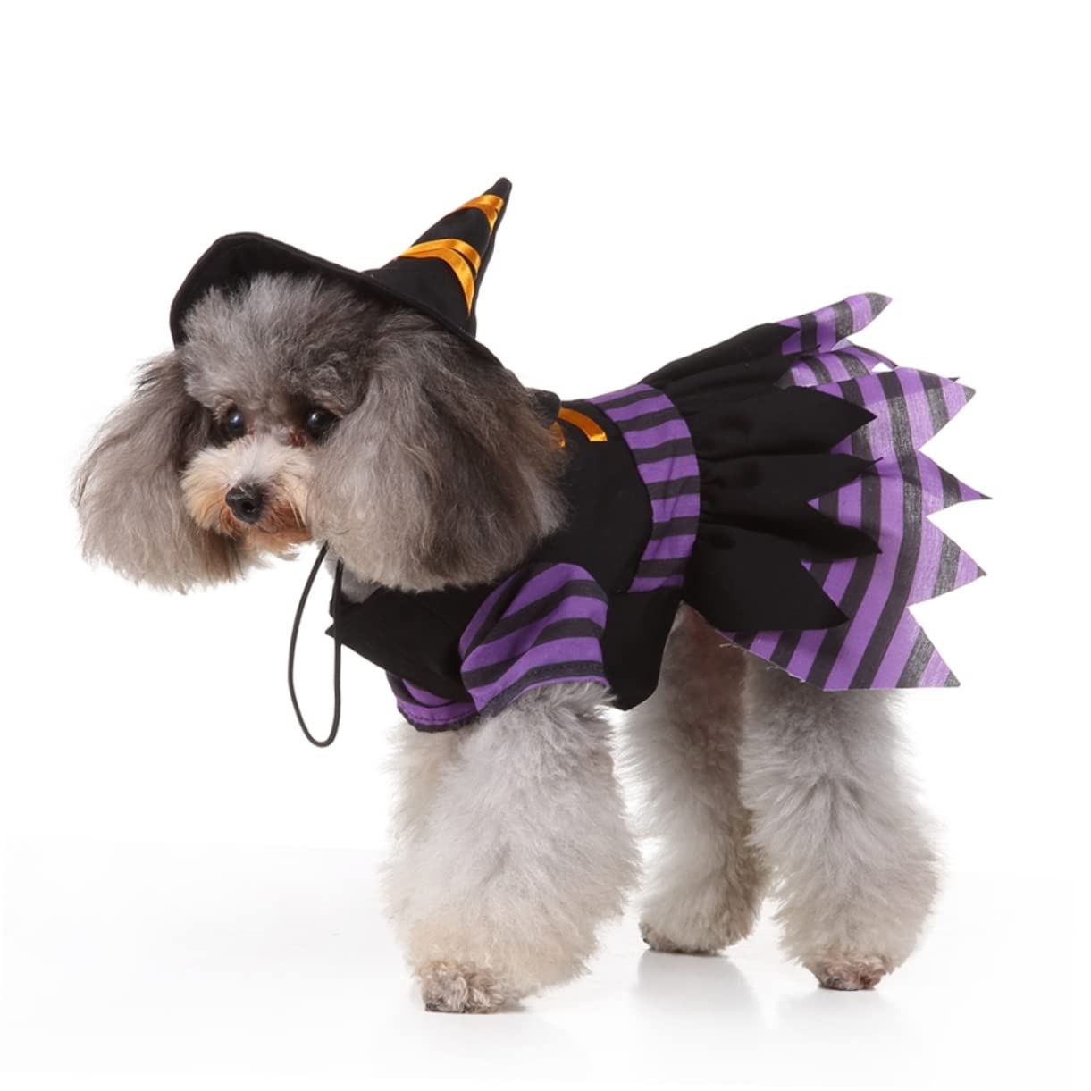 Didiseaon 2 Pz Cappotto Per Animali Domestici Di Halloween Vestiti Per Animali Domestici Cappello Da Cane Simpatica Felpa Con Cappuccio Per Cani Animale Domestico Forniture