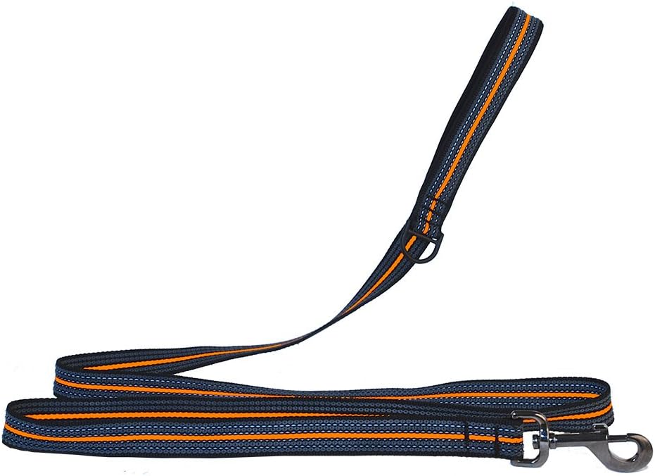 Dublin Dog Grip Trek Pet Leash, Orange