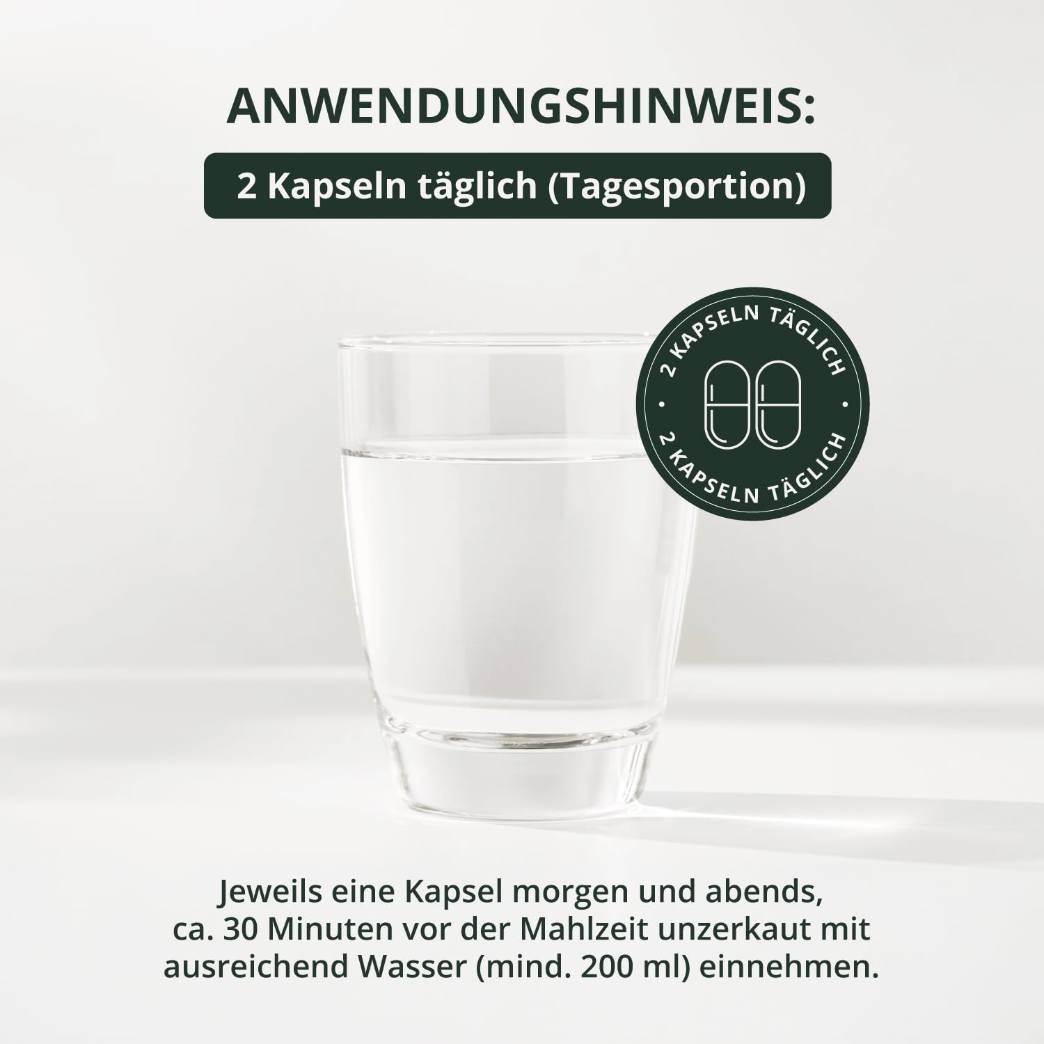 BodyFokus SynBiotik Vital Aktiv 13 Stämme Inulin Oligofructose 60 Kapseln