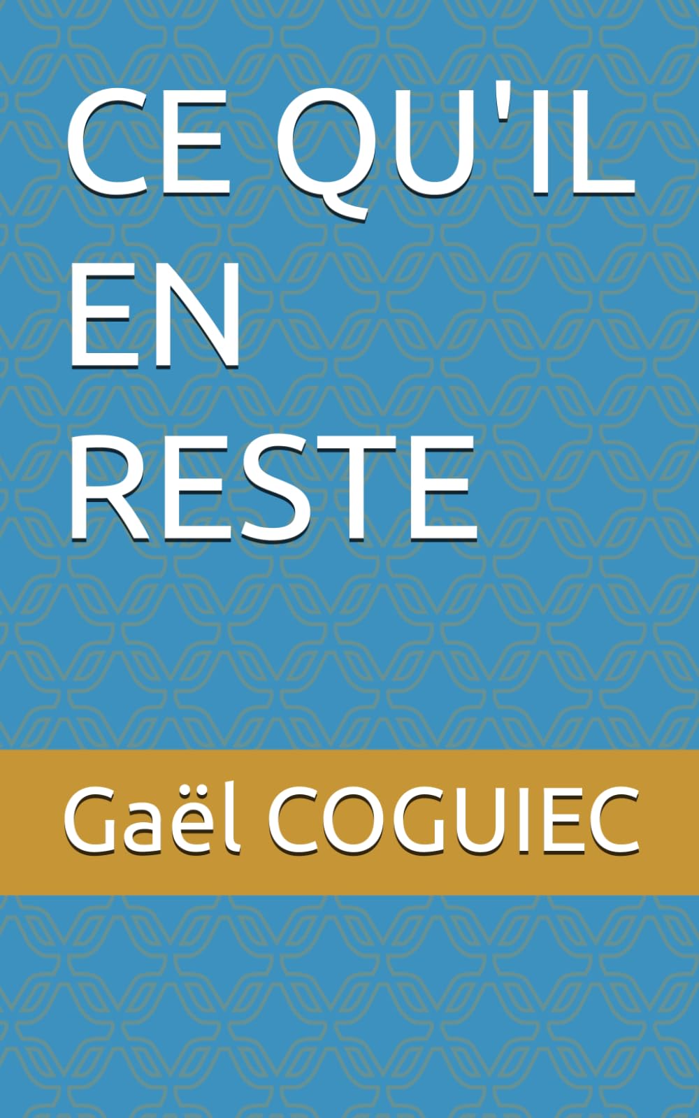 CE QU'IL EN RESTE