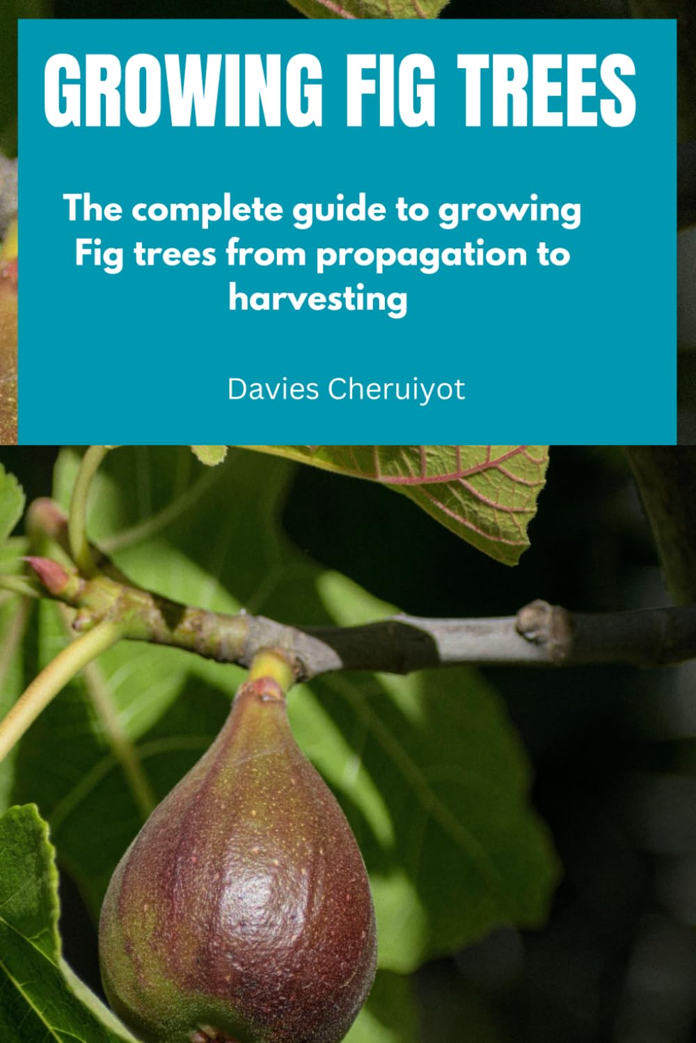 GROWING FIG TREES: The complete guide to growing Fig trees from propagation to harvesting (Fruits Farming)