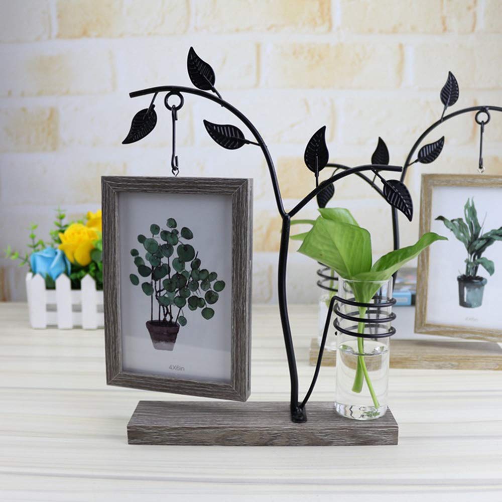 Picture Frame Vase Decor For You