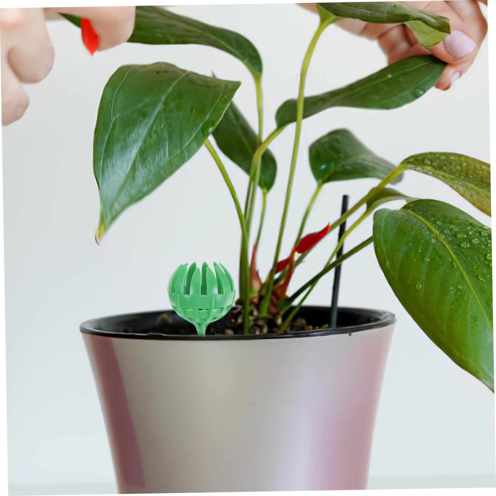 Abaodam 5 Ensembles Boîte À Engrais Nursery Gadget De Fertilisation Bonsaï De Plein Air Patrimulation Plantes Fournitures De Jardinage Fournitures De Bonsaï Plastique 30 Pièces * 5