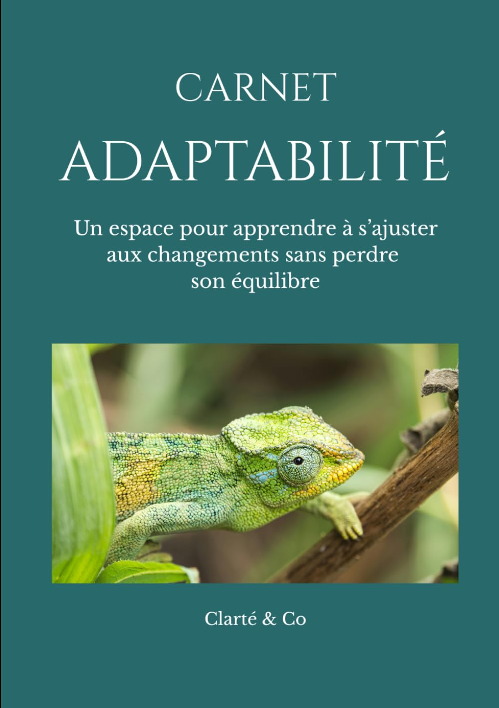 Carnet Adaptabilité: Un espace pour apprendre à s’ajuster aux changements sans perdre son équilibre (Carnets Clarté & Co)
