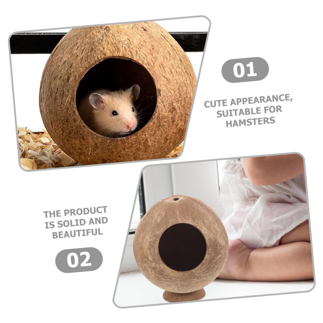 Cabilock 8stücke Kleine Hamster-Kokosnuss- Natürliche Verstecke Für Meerschweinchen Schlafen Und Sicherem Robustem Material Gefertigt