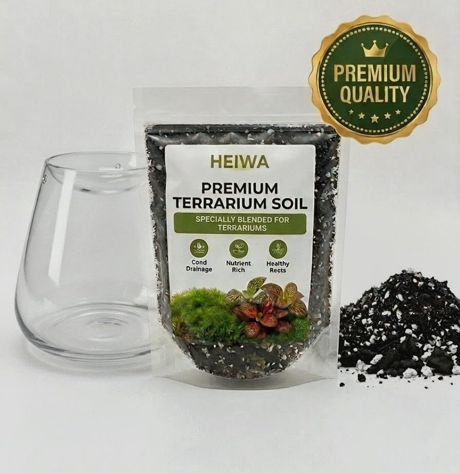 Image of HEIWA India - Handmade Terrarium Glass Pot with Lid & Premium Terrarium Soil | Oval Shape | 8 Inch | Pack of 1 | DIY