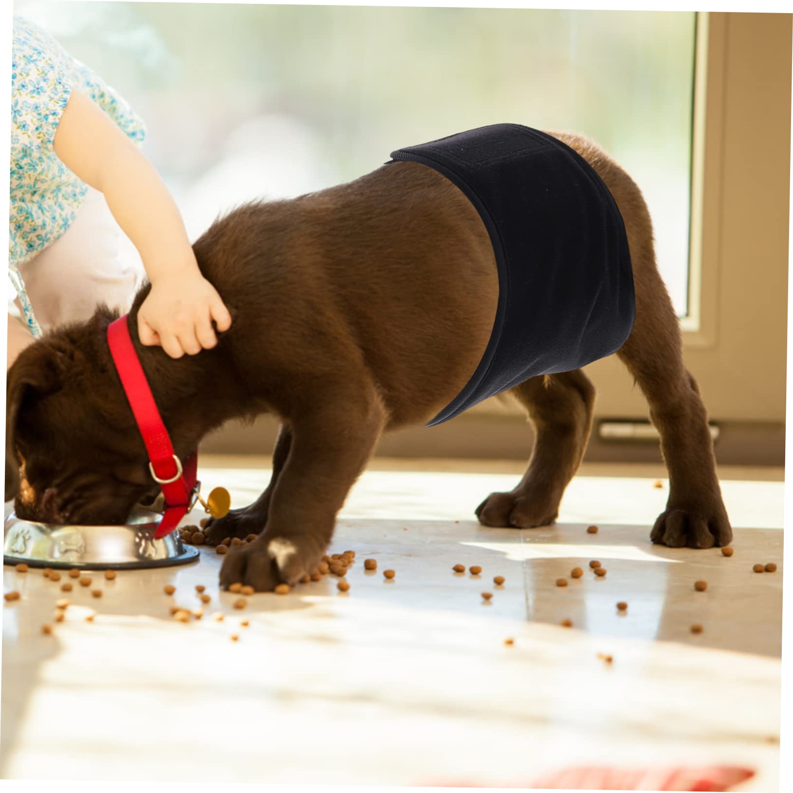 4piezas Pañal para Perro Macho Reutilizable y Absorbente Cinta para para Cachorros y Perros Calor
