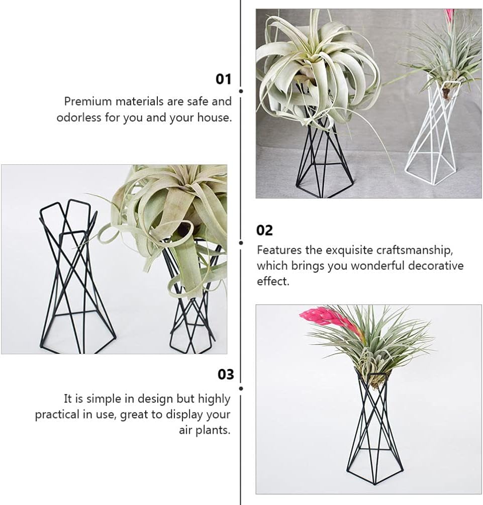 Hemoton 2pcs Air Plant Holder Iron Tabletop Air Plant Stands Containers Air Plant Racks Tillandsia Planter Display Racks Base Vase Pot Black White