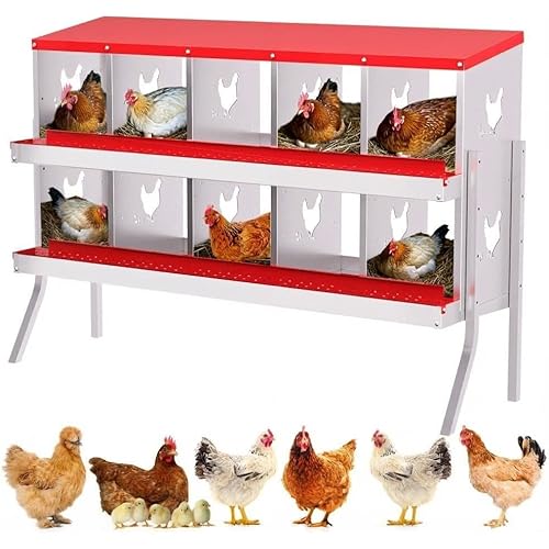 Chicken Nesting Box,10 Holes Galvanized Steel Metal Chicken Laying Box with Automatic Roll-Away Egg Collection System & Removable Tray,Wall Mount Nesting Boxes