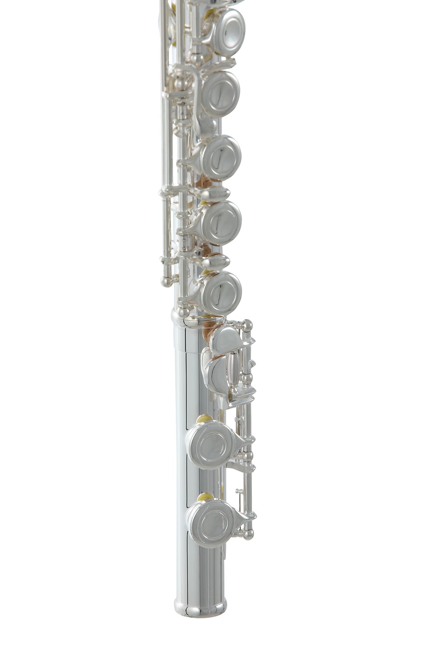Roy Benson Flauta Travesera FL-402E2 (Diseño de cabeza doble, recta y curva, chapado en plata niquelada, incluye mecanismo E, Offset-G y accesorios de primera calidad, para flautistas ambiciosos)