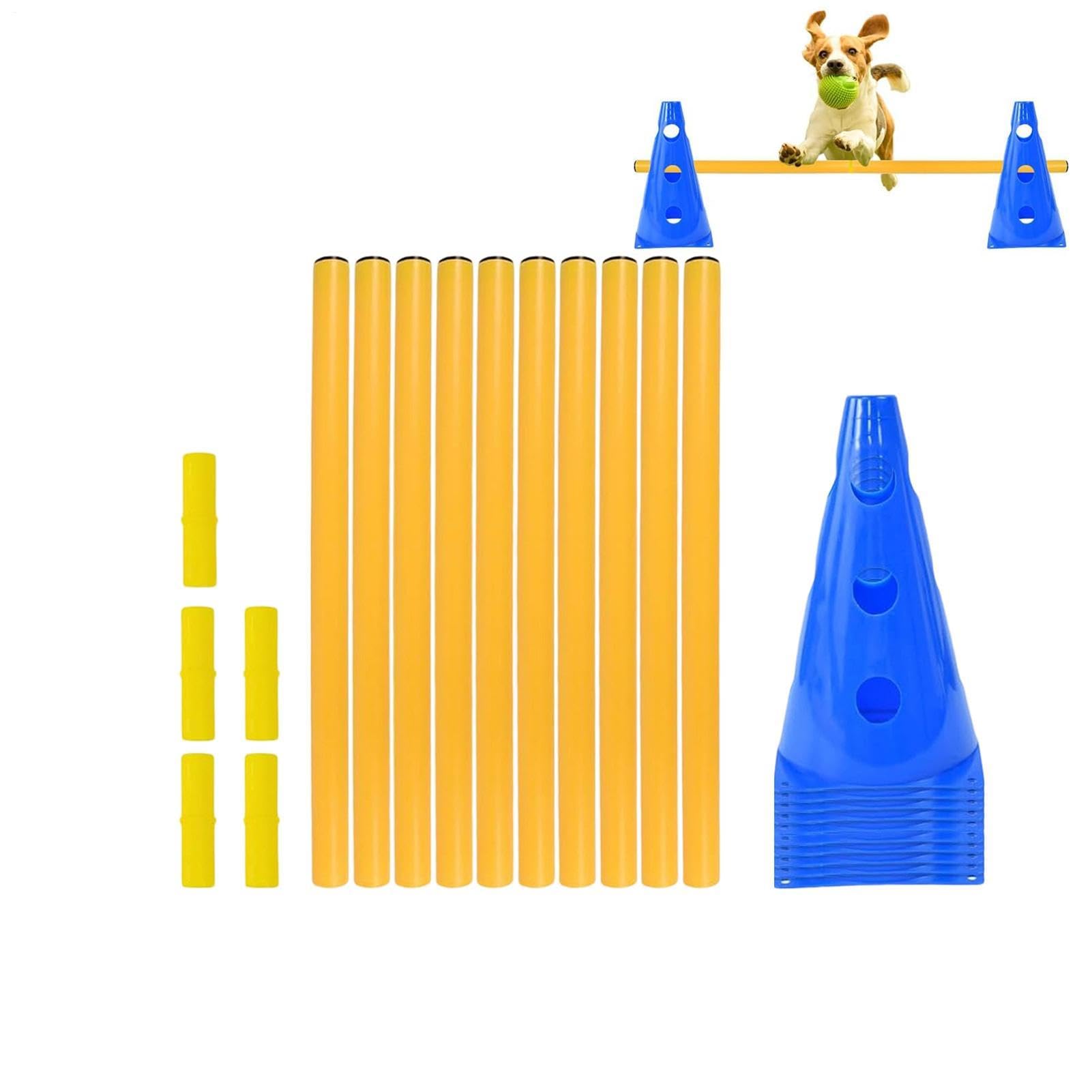 Équipement d'agilité pour chien avec parcours d'obstacles robuste et pliable pour animaux
