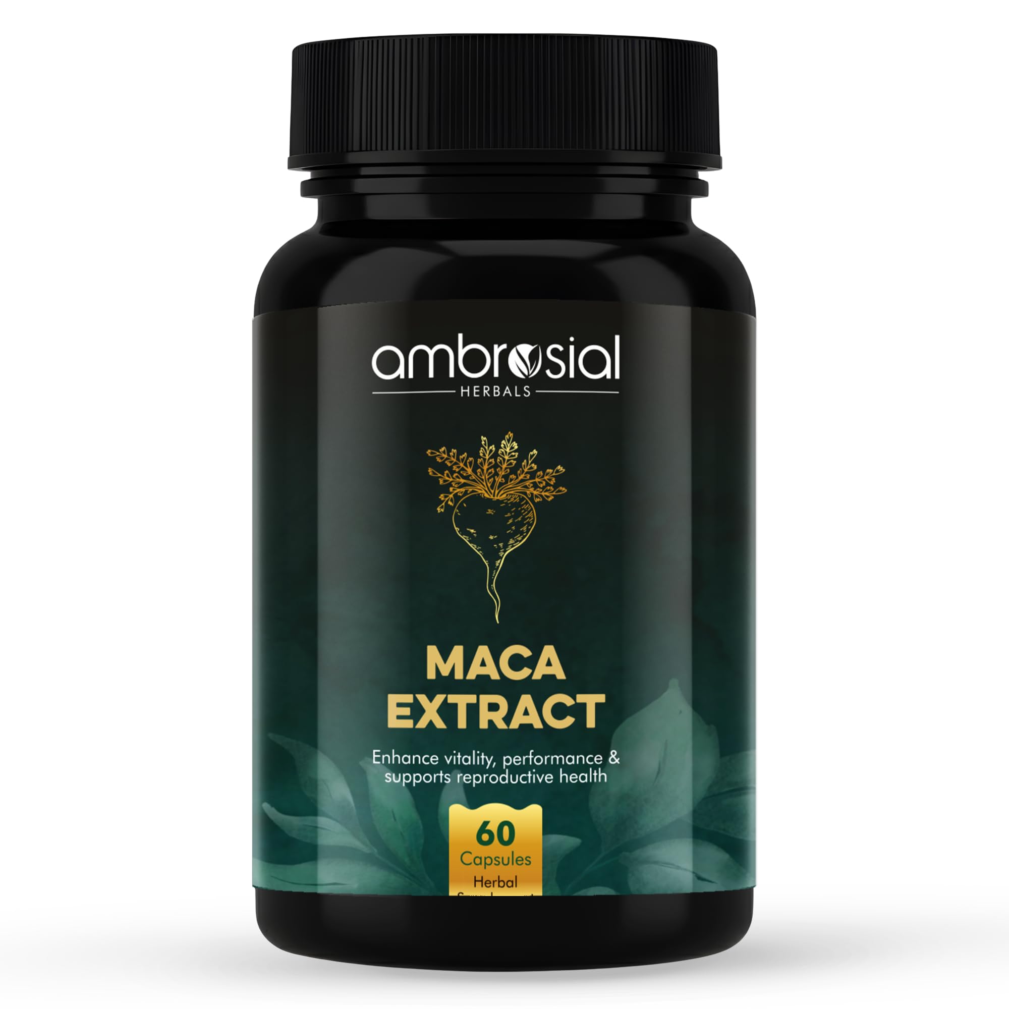 Ambrosial Maca Root Capsules for Men & Women | High Strength 500 mg Maca Root Powder EACH Capsule | Supports Building Stamina & Energy (Pack of 1-60 Capsules)