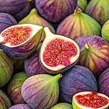 50+ Perennial King Figs Sweet Fresh Fruit Seeds for Planting-Non-GMO Heirloom Plant Seeds Garden Outdoor