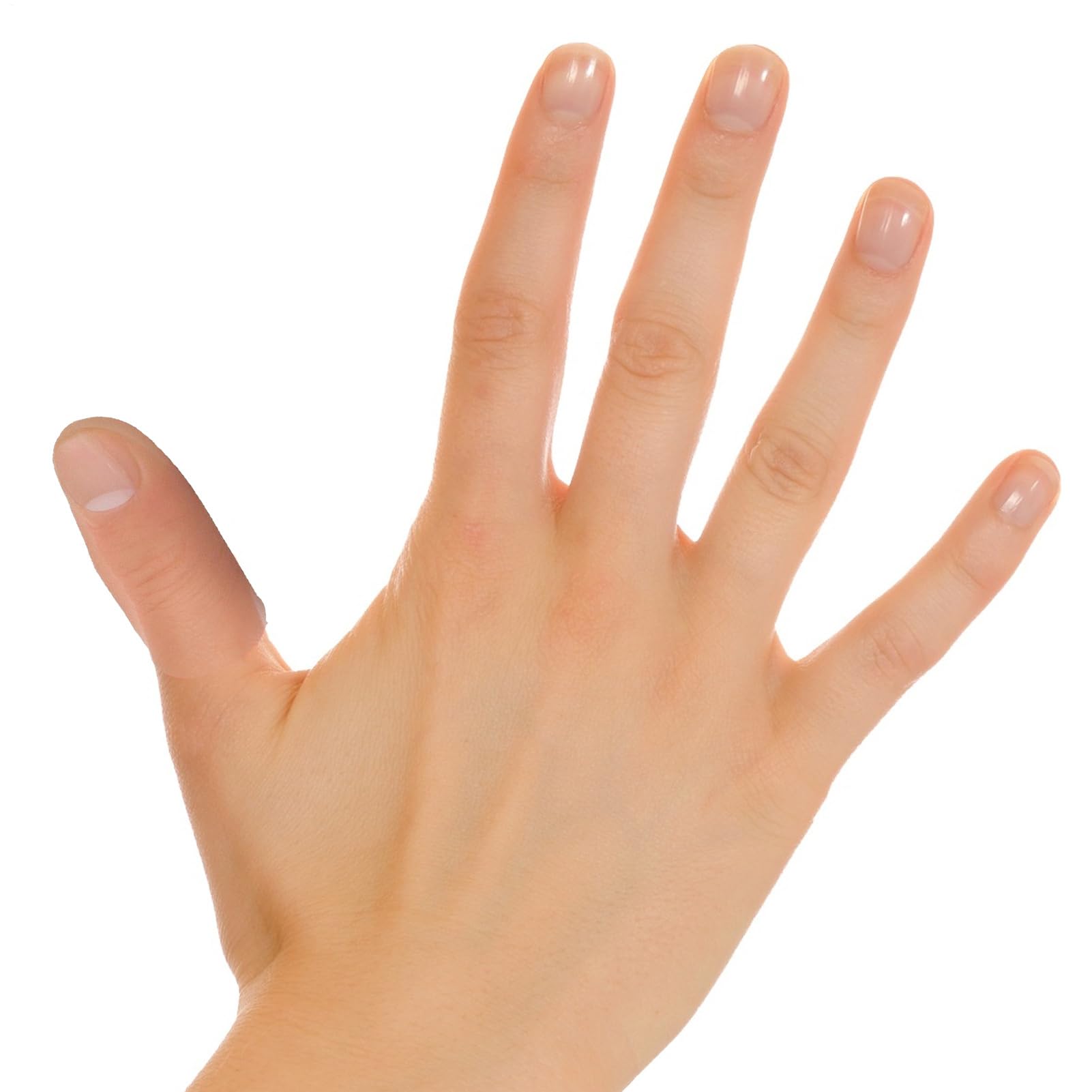 268838_3 268838_3