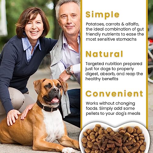 Olewo Rootsies Dog Food Topper – Sensitive Stomach Dog Food, Dog Digestive Support, Natural Prebiotic For Dogs, Gut Health For Dogs, Fiber For Dogs From Dehydrated Fresh Dog Food, 2.2 Lbs #TOP7