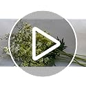 5pcs Light Green Delphinium Artificial Flowers, 33" Silk Larkspur Faux Flower with Long Stem Fake Bouquet for Tall Floor Vase Home Hyacinth Floral Plant Centerpiece Patrick's Day Spring Decor