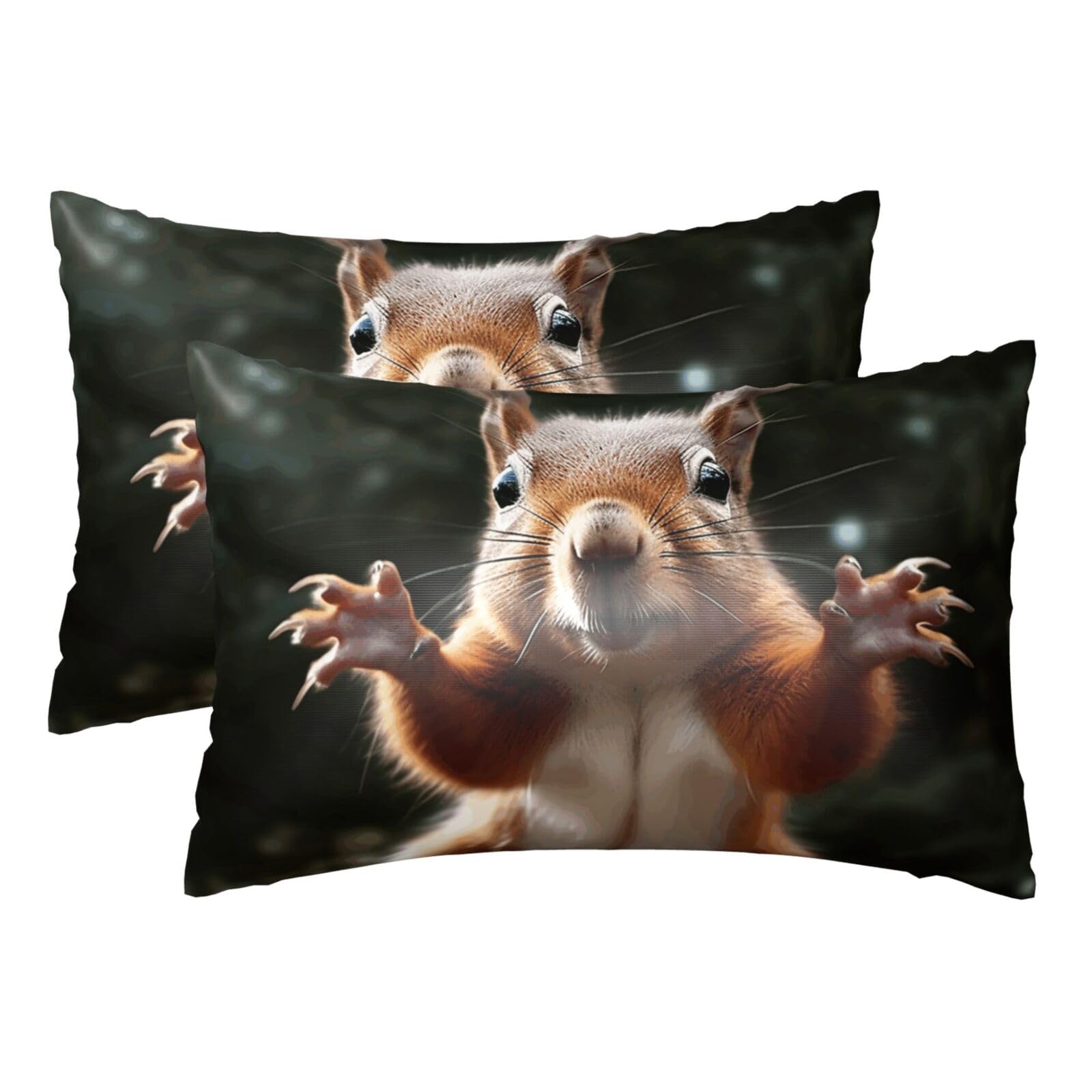 Silk Pillowcases Set of 2 Pillow Shams Breathable Soft Pillow Covers with Envelope Closure Squirrel Funny Animal Pillowcases Standard Size 20x30 Inches Washed Pillow Cases for Hair and Skin
