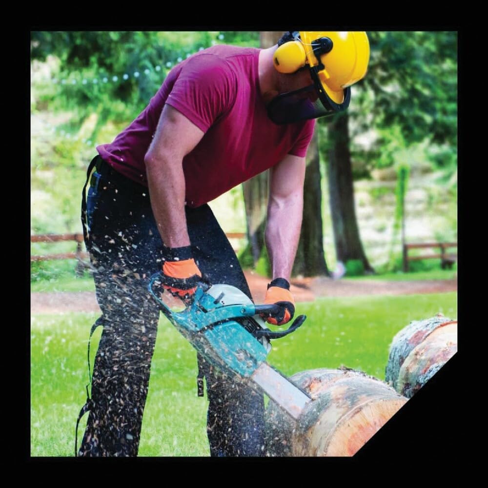 Oregon Juego Combinado de Casco Protector de Seguridad para Motosierra con Visera | Juego combinado de casco protector y visera, cumple con las normas de seguridad de motosierra para tala y arboricultura