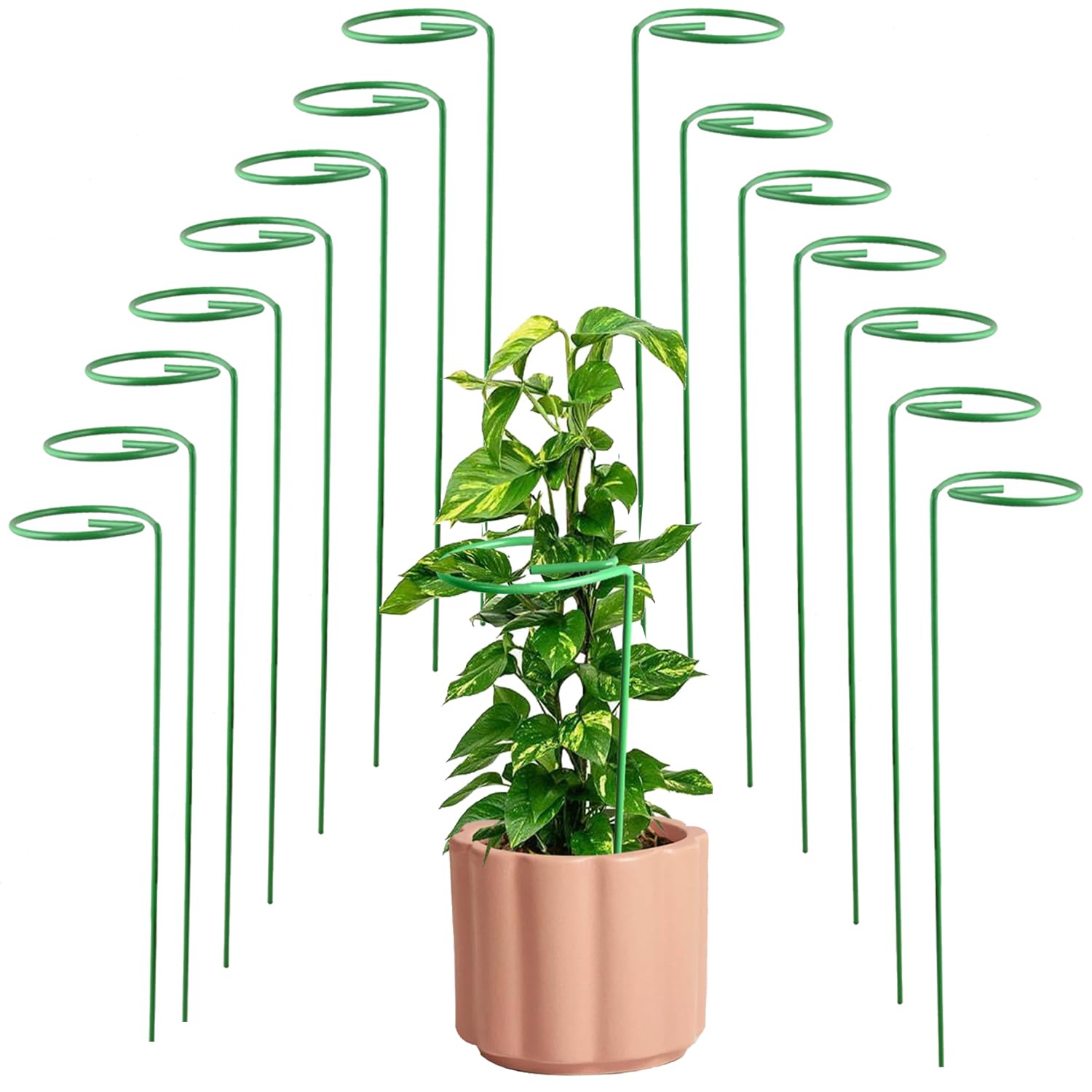 ORILEY 16" Plant Support Stakes Adjustable Single Stem Metal Sticks Suitable for Small & Light Indoor and Outdoor Plants - (69g, Green, Pack of 15) (B0CQYSS3RG) Amazon Price History, Amazon Price Tracker