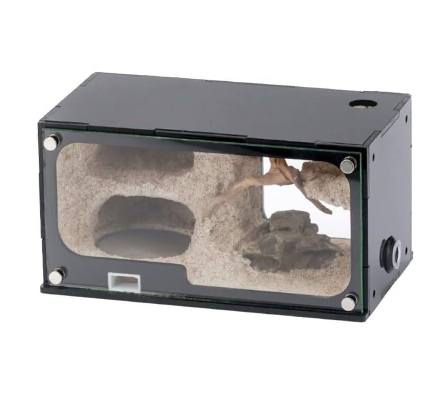 Ameisen Terrarium Betonameisenfarm Mit Jagdgebiet, Unbegrenzte Vertikale Erweiterung, Ameisennest, Haustierameisenhaufen, Werkstatt, Schloss Formicarium(7.5cm)