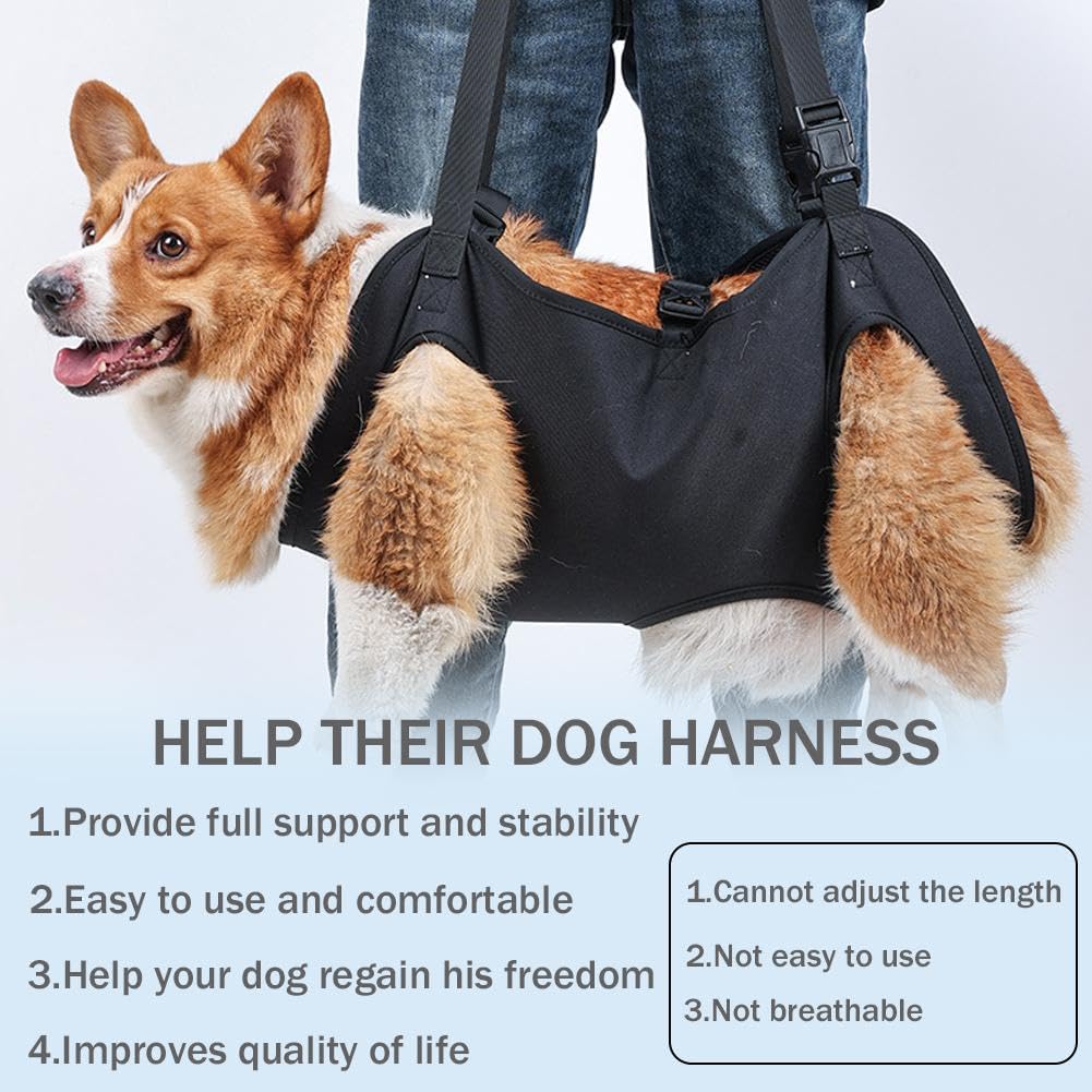 Hunde-Hebegeschirr & Reha-Schlinge – Verstellbar, Gepolstert, Für Hunde 7,5–15 Kg, Bei Arthritis/Verletzungen