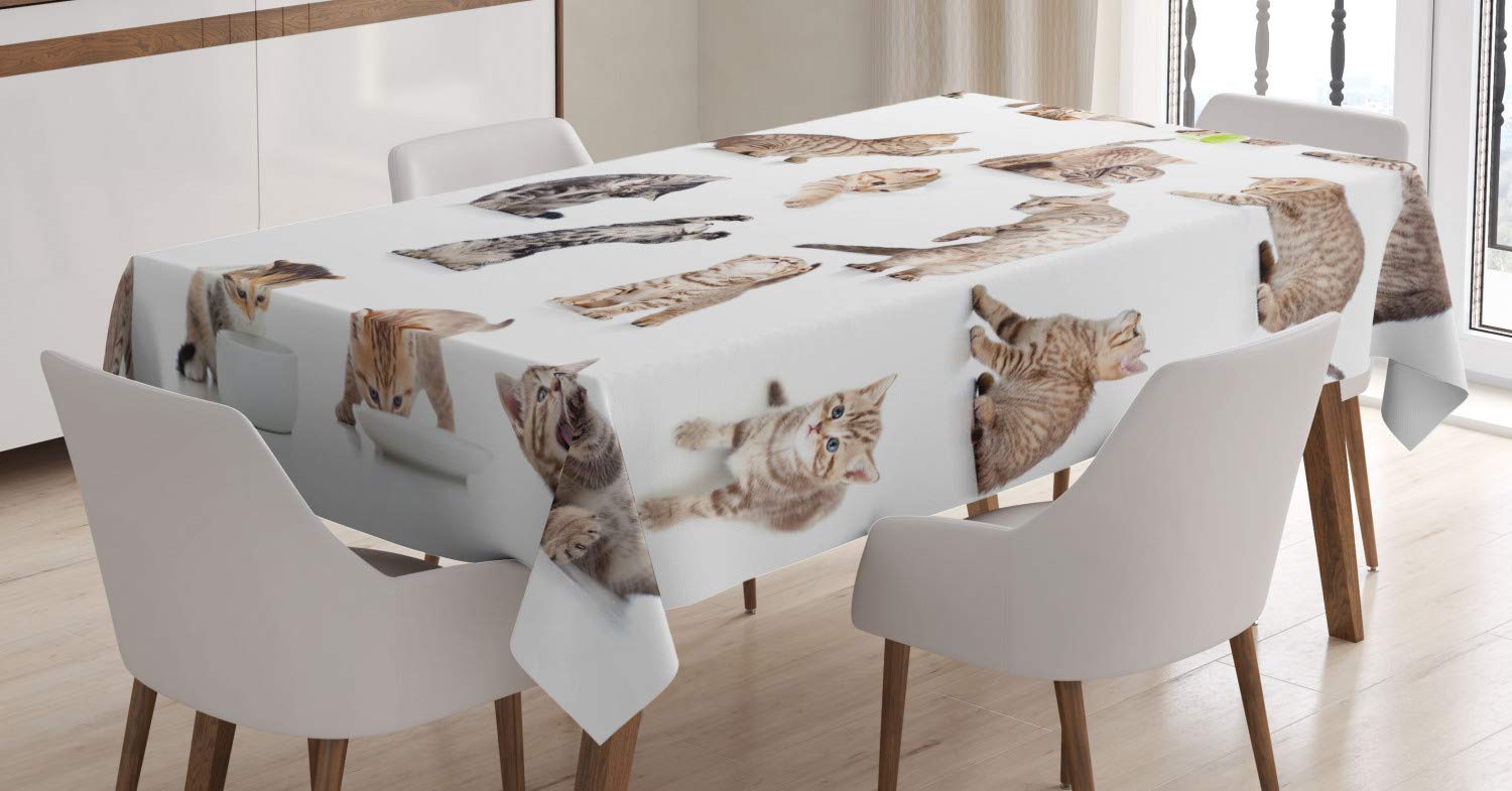 Tovaglia Plastificata Effetto Legno | Grandi Sconti | Tovaglie Casa E Ristoranti - Foto 4