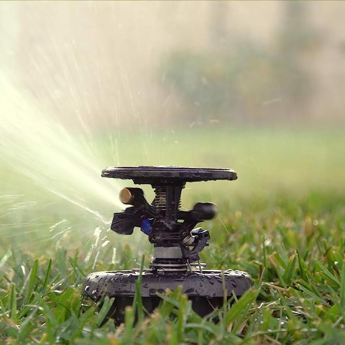 Rain Bird Maxi-Paw Sprinkler - Automatischer Gartenregner 6,70-13,70m Reichweite