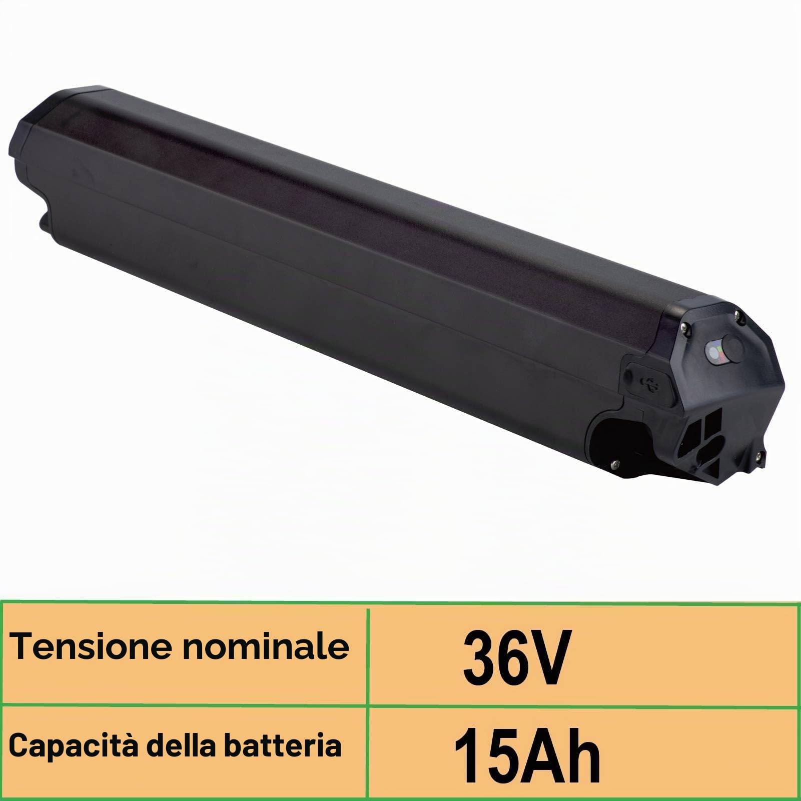 Batteria Ebike 36V 15Ah ricambio per Dorado Plus bicicletta elettrica scooter Li-ion con caricabatteria (36V 15Ah)