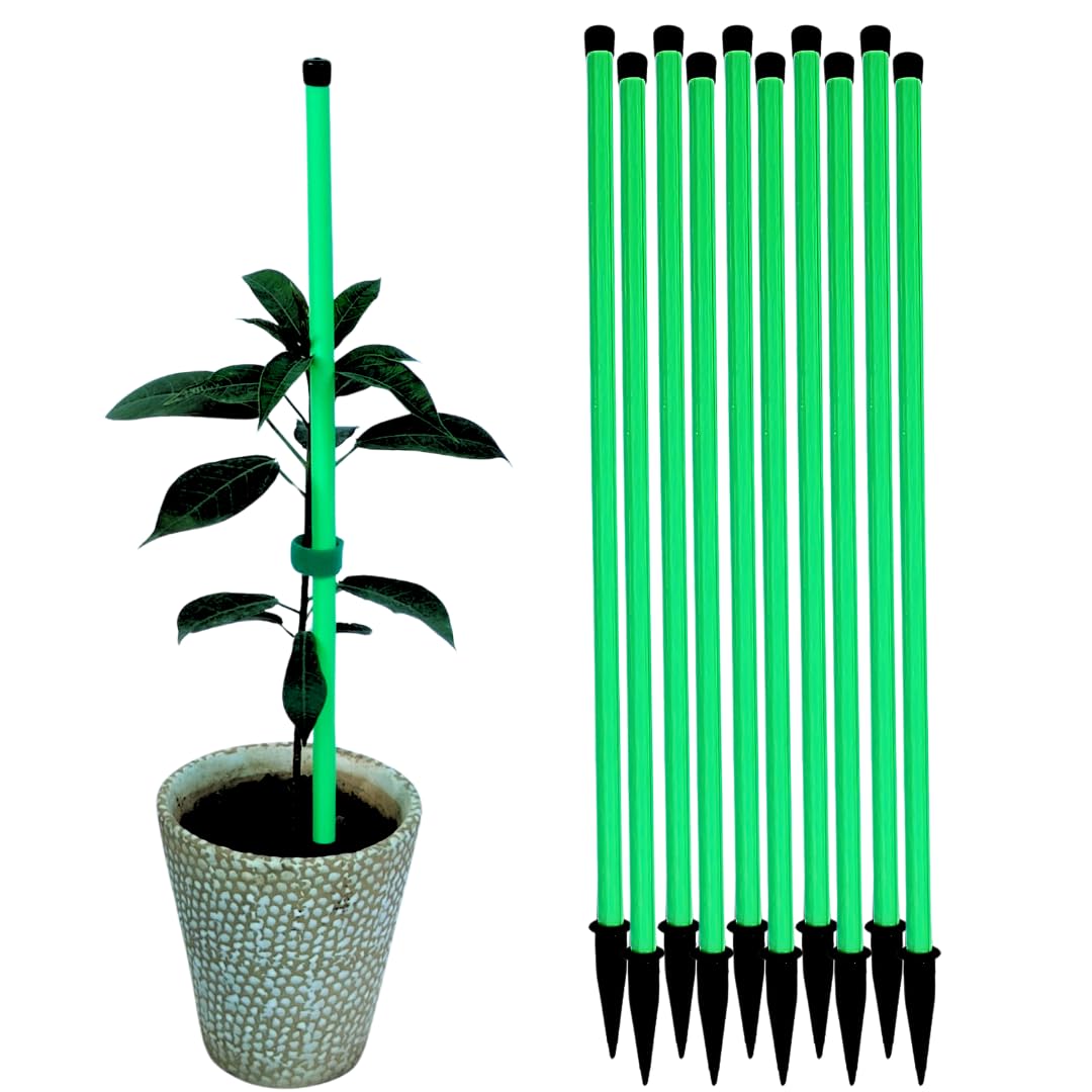 Trelliskart 18 Inches Plant Support Sticks Garden Plant Support | Trellis for Creepers, Stem Support Poles | Structure Plant Stakes for Indoor & Outdoor- Pack of 20, Green Color